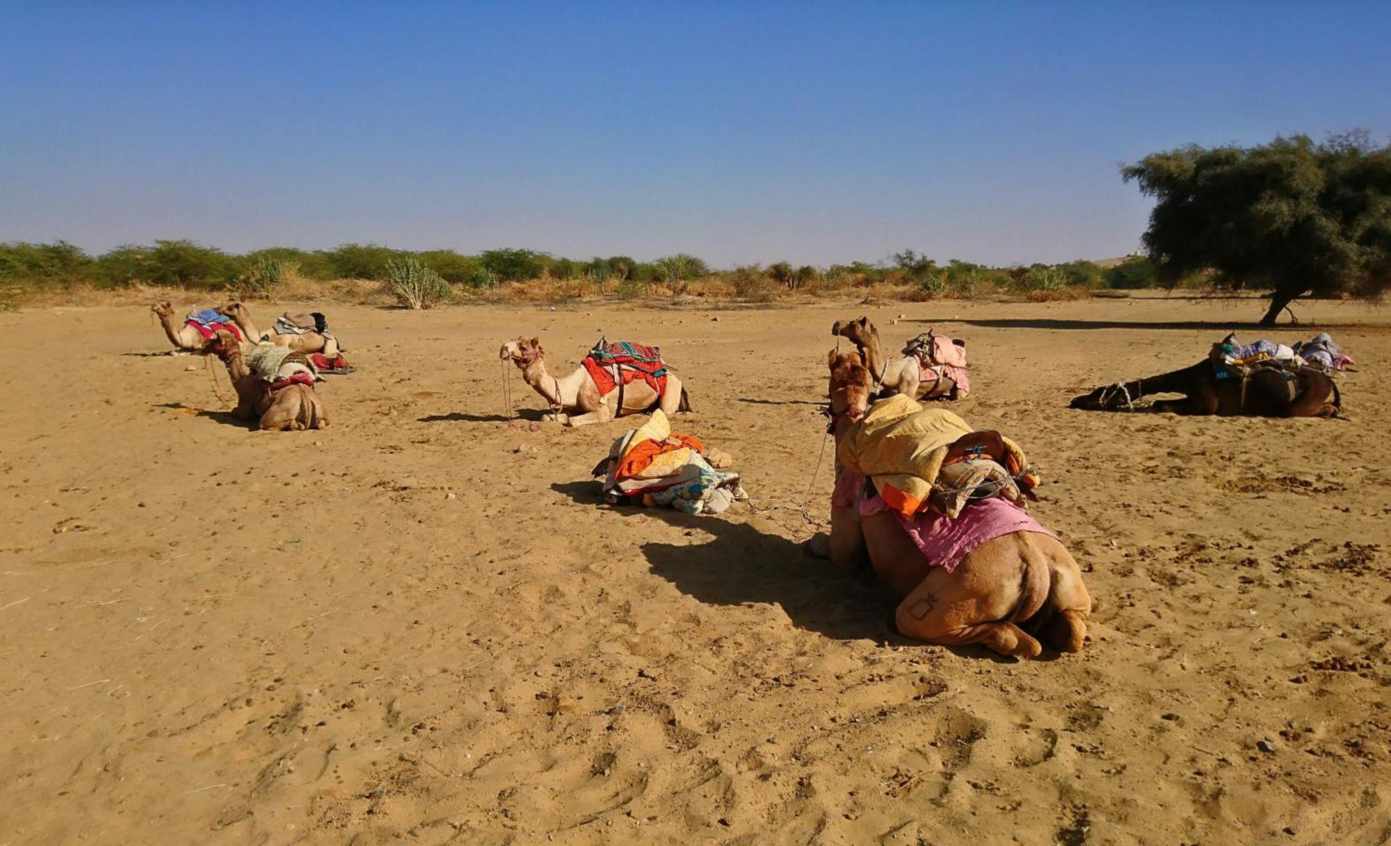 Hotel Royal Jaisalmer Zewnętrze zdjęcie