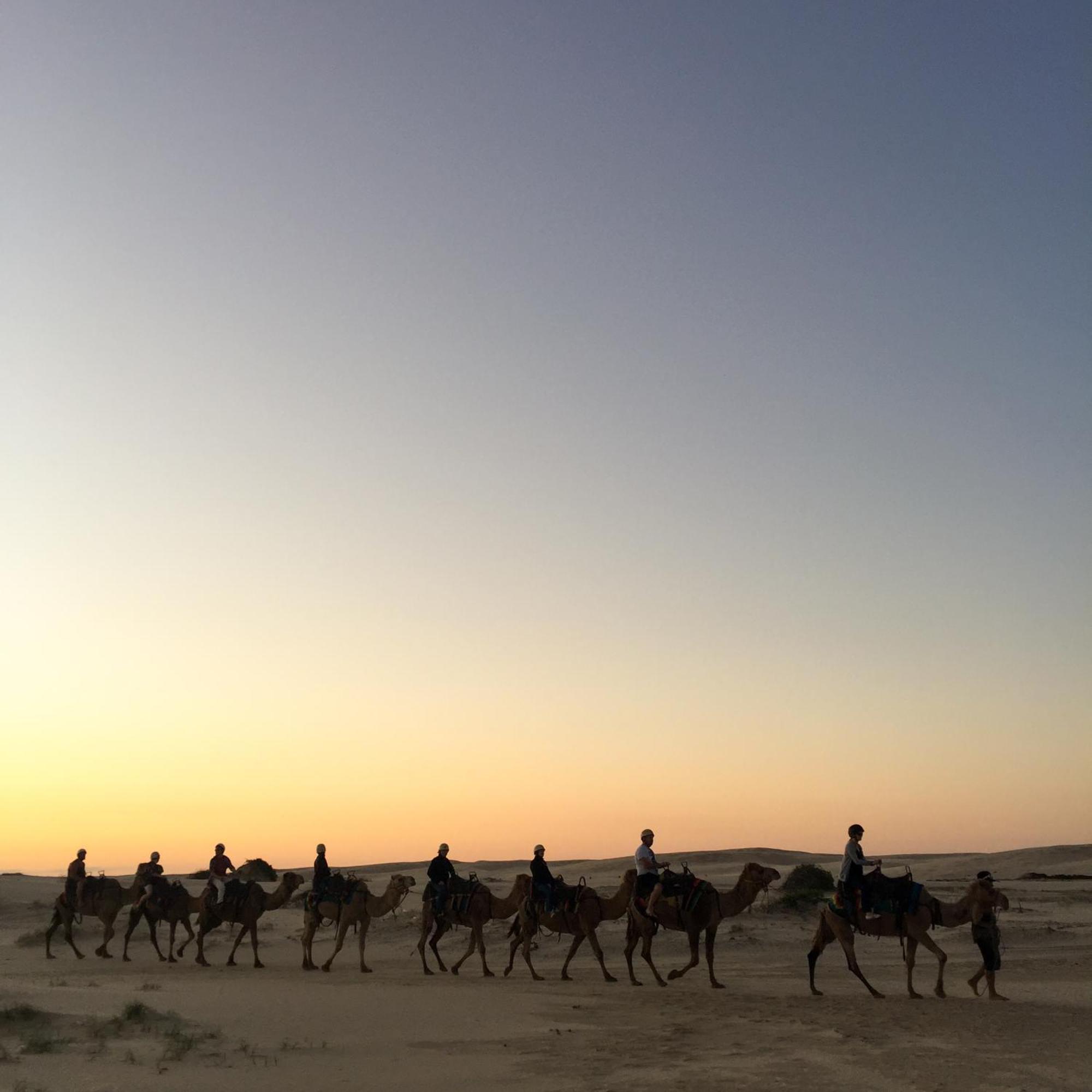 Hotel Royal Jaisalmer Zewnętrze zdjęcie