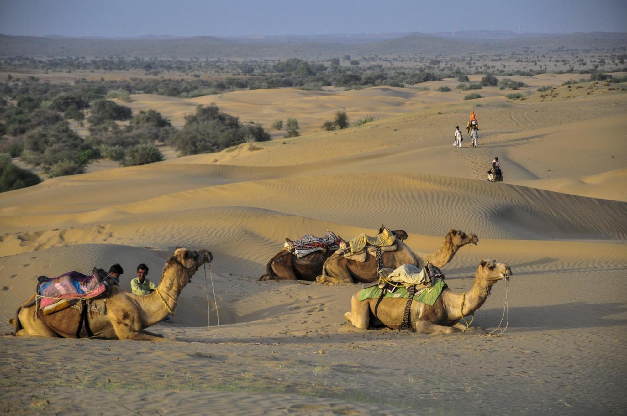 Hotel Royal Jaisalmer Zewnętrze zdjęcie