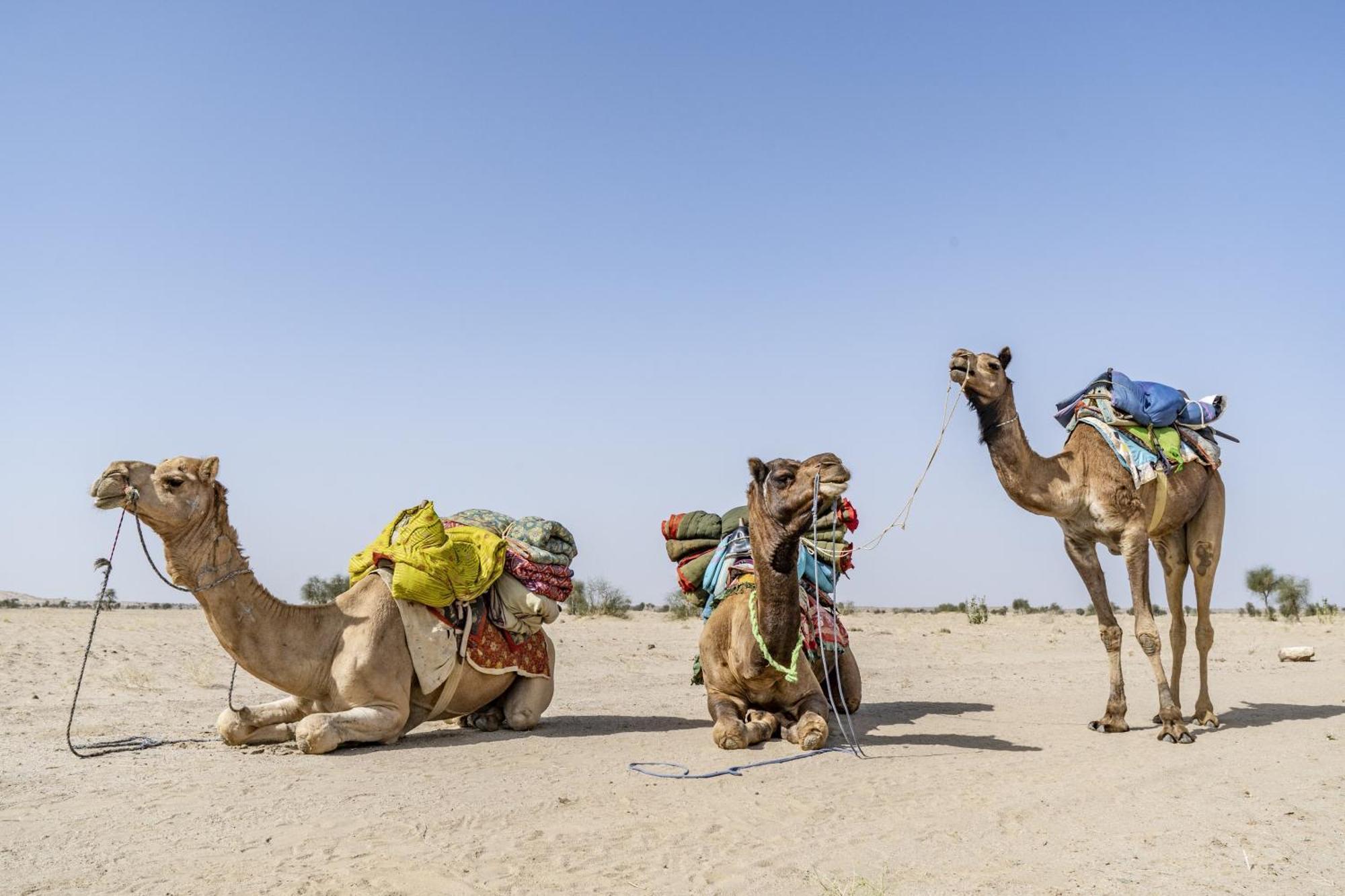 Hotel Royal Jaisalmer Zewnętrze zdjęcie