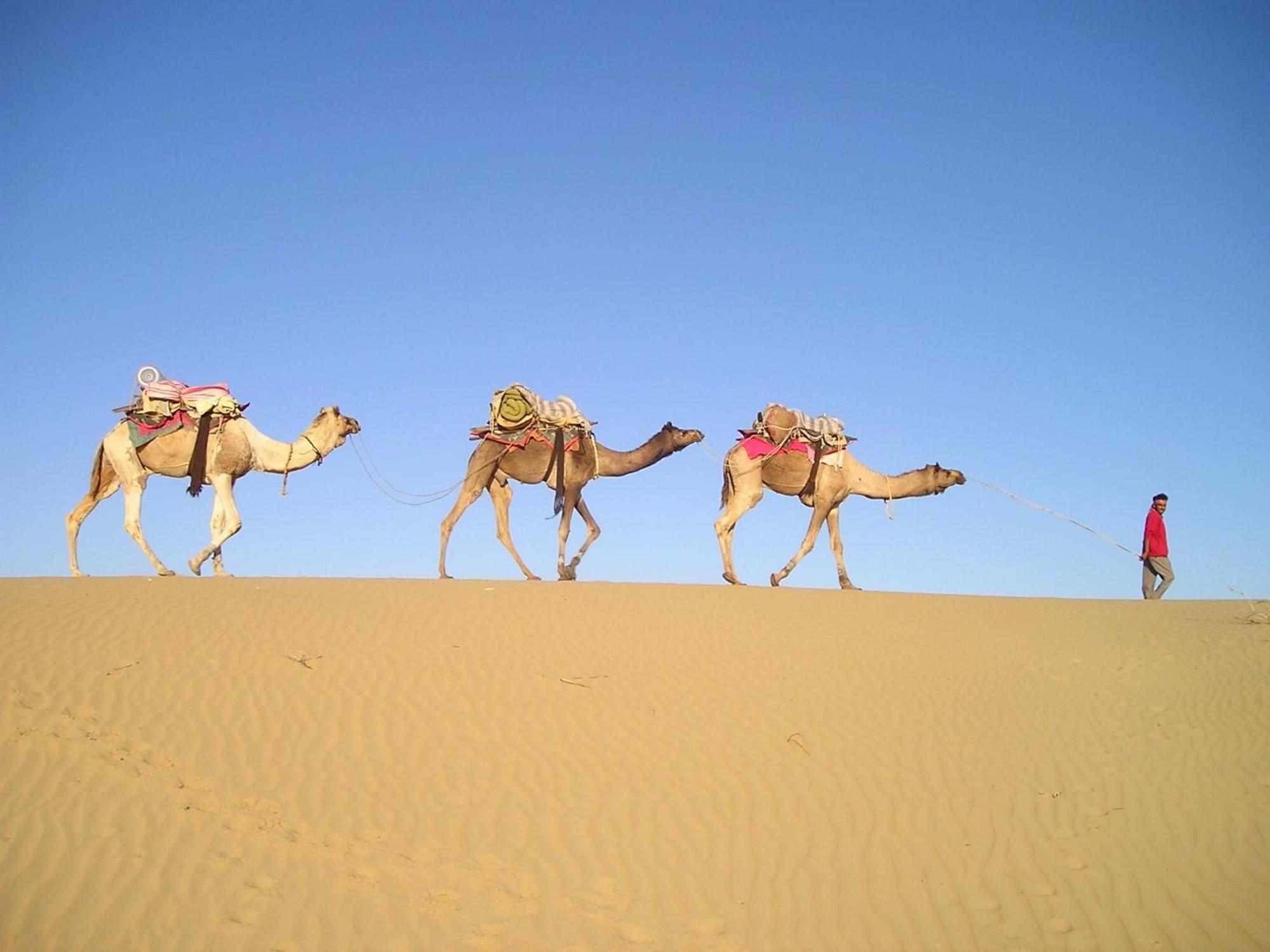 Hotel Royal Jaisalmer Zewnętrze zdjęcie