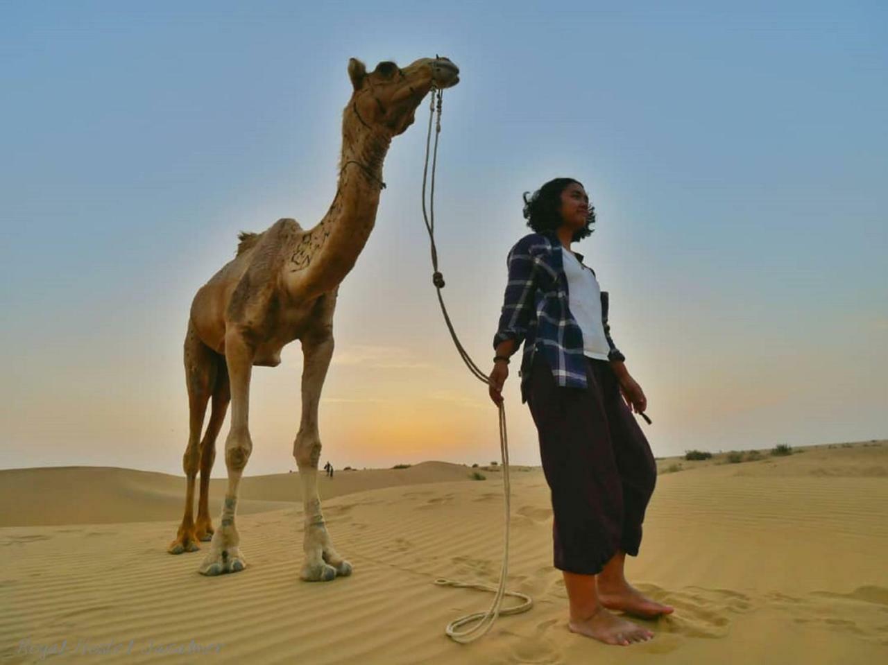 Hotel Royal Jaisalmer Zewnętrze zdjęcie